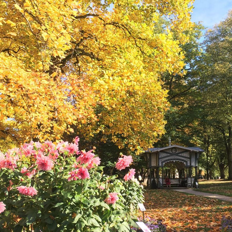 Allee Apartment Baden-Baden Exteriör bild